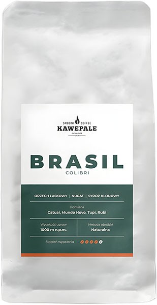 brasil_colibri_upscayl_2x_upscayl standard 4x 1741342575