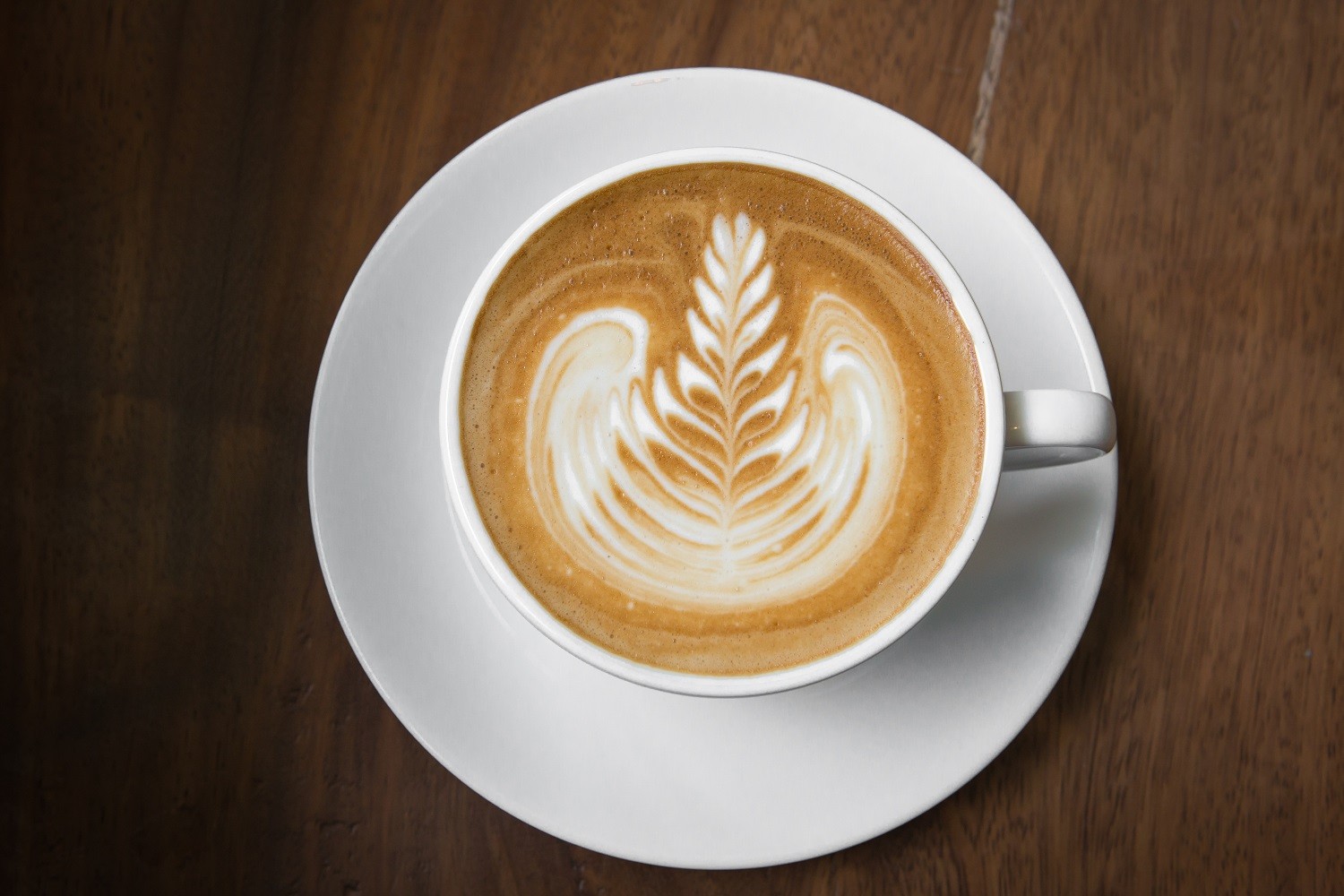 latte art3 1738651510