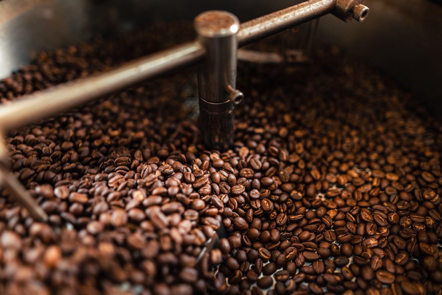 ziarna kawy 1740479996